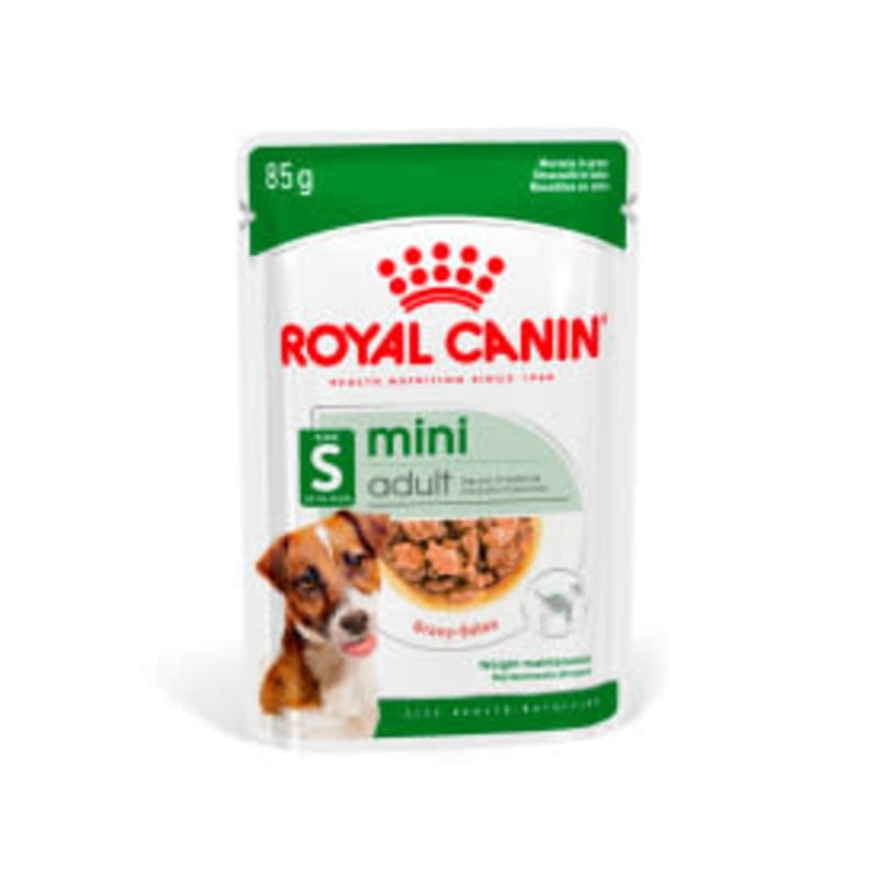 Best dog food for 9 year old dog hot sale