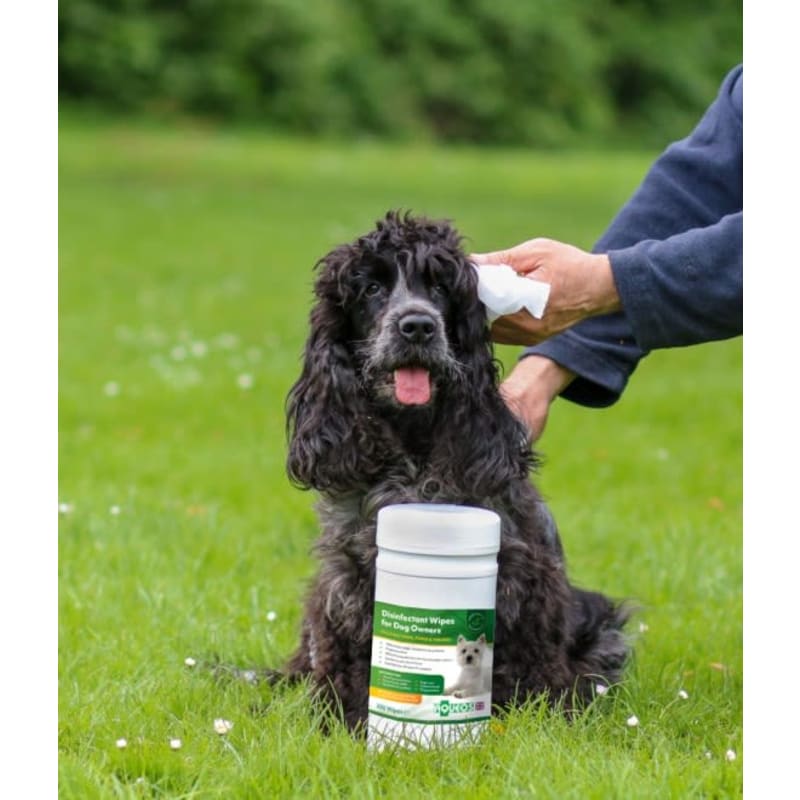Dog disinfectant wipes best sale