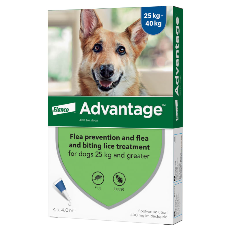 Cheap effective flea treatment for dogs cheap