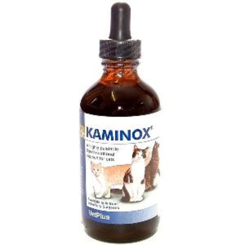 Kidney supplements for cats cheap