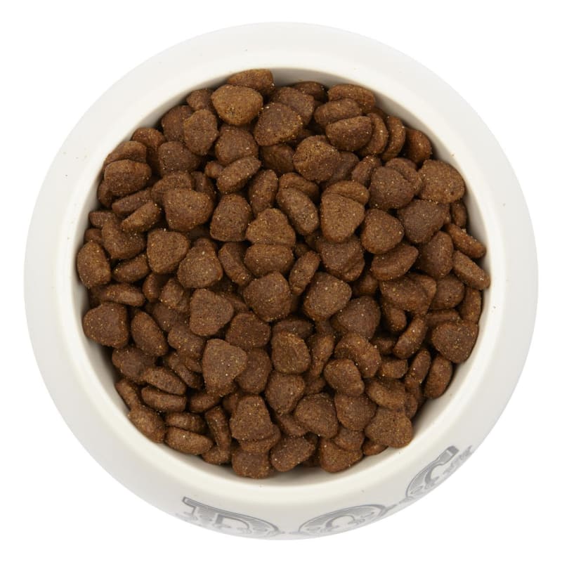 Arden grange small dog food online
