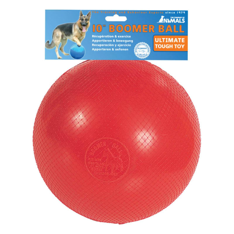 Dog 2024 toy companies