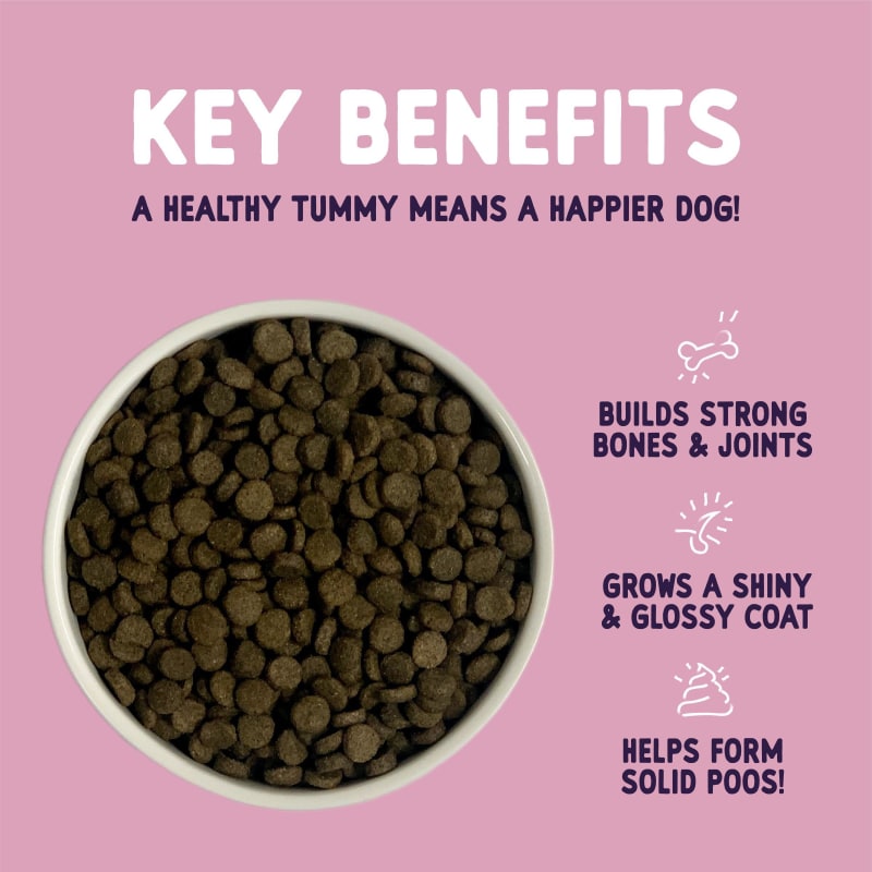 Burgess Sensitive Adult Dry Dog Food Pet Supermarket