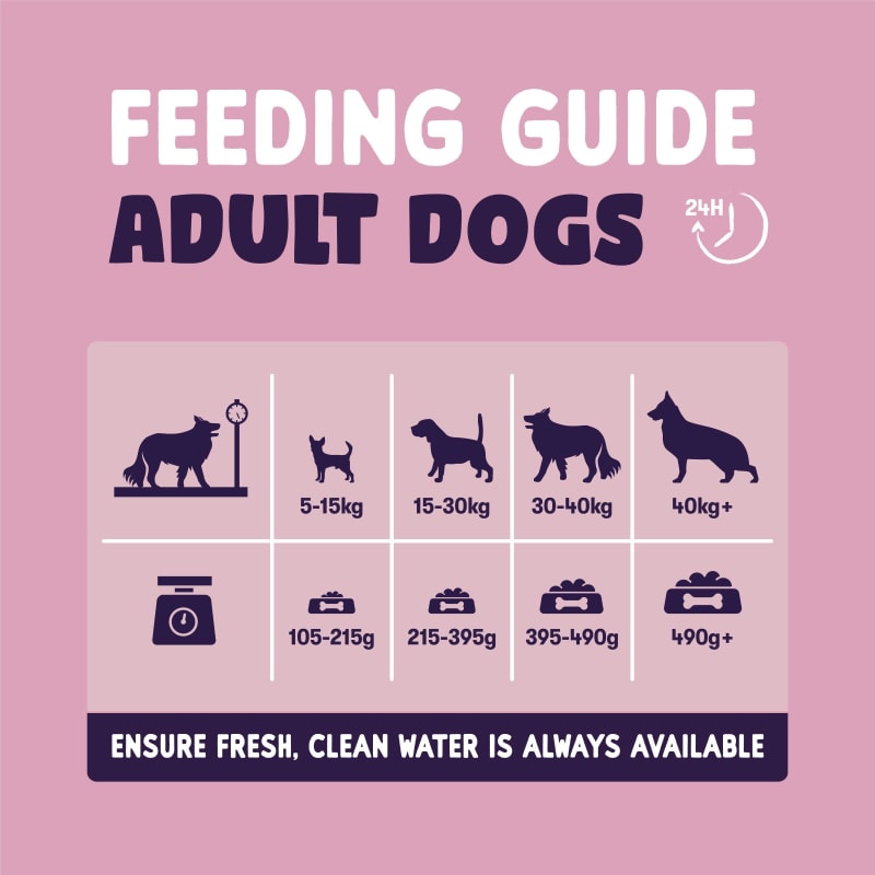 Burgess Sensitive Adult Dry Dog Food Pet Supermarket