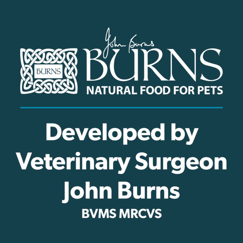 Burns Alert Adult Senior Lamb Dry Pet Supermarket
