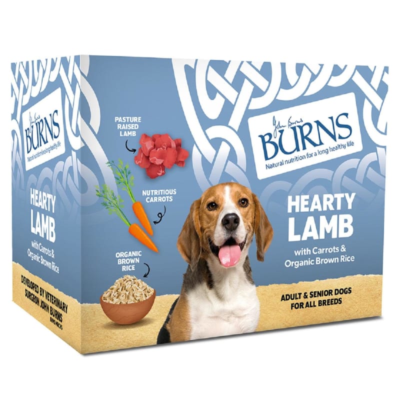 Burns toy and small breed pets at home 2025