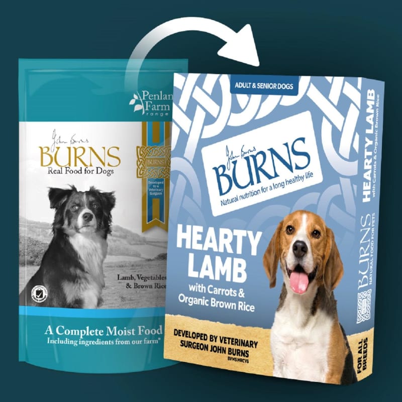 Organic senior dog food store
