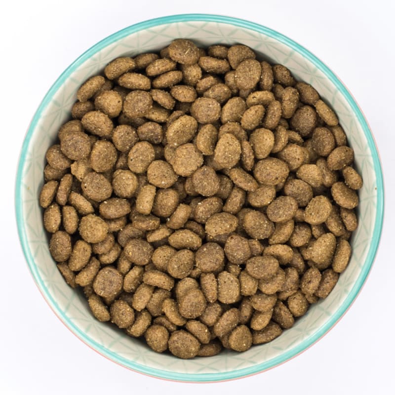 Eukanuba yorkie dog food new arrivals
