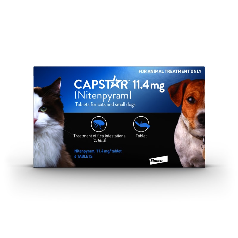 Capstar Fast Acting Flea Treatment Pet Supermarket
