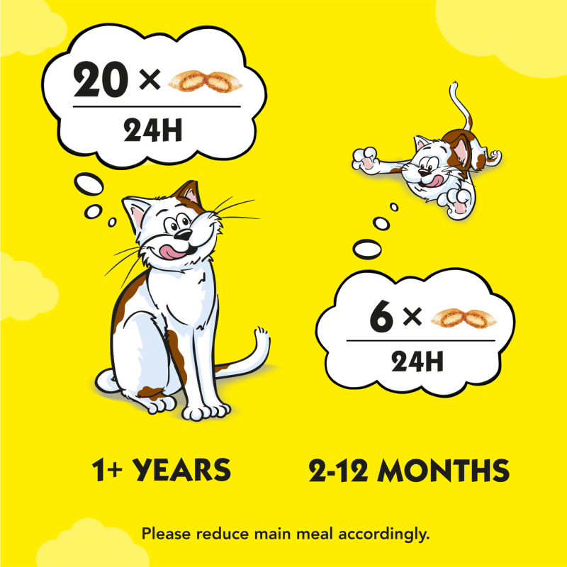 Dreamy cat treats store