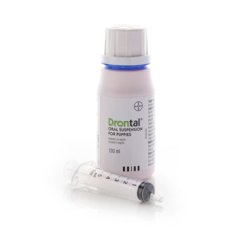 Drontal puppy bayer sale