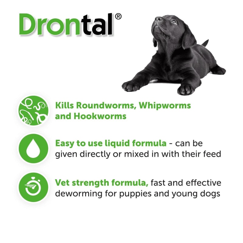 Best puppy wormer liquid sale