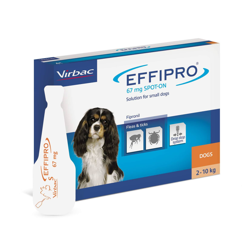 Effipro sale for cats