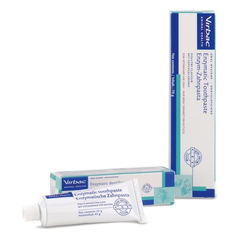 Enzymatic dentifrice 2025