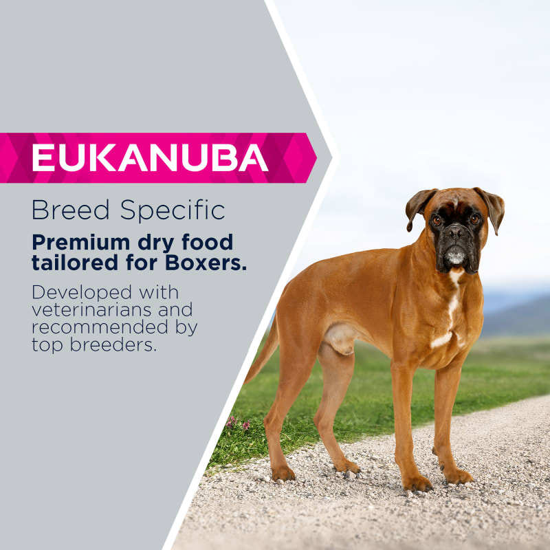 Eukanuba Breed Specific Boxer Adult Pet Supermarket