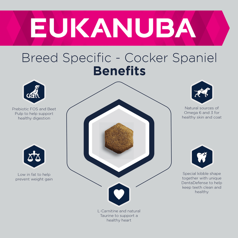 Eukanuba Breed Specific Adult Cocker Pet Supermarket