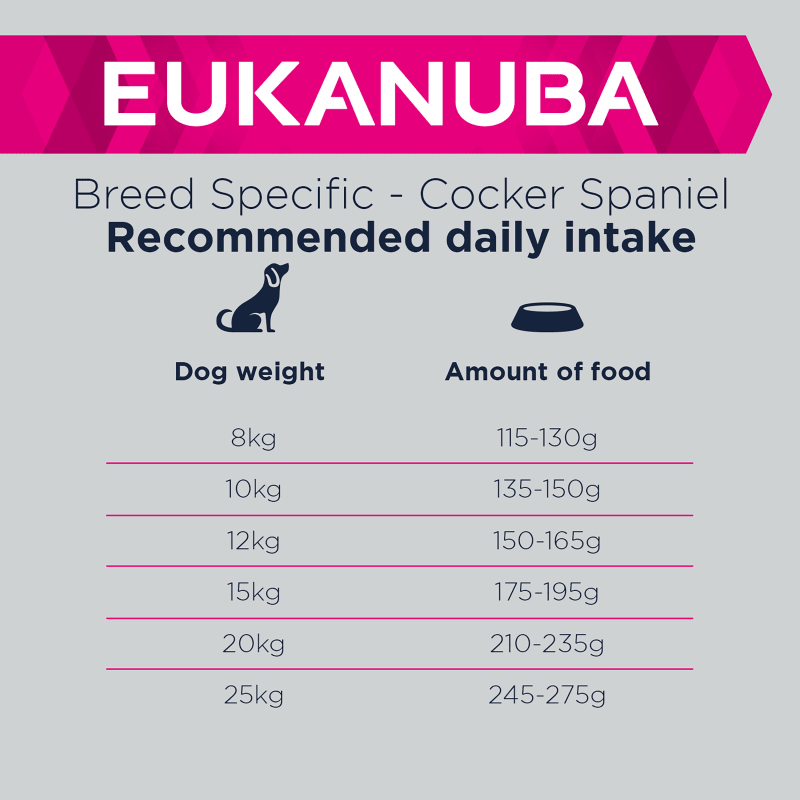 Eukanuba Breed Specific Adult Cocker Pet Supermarket