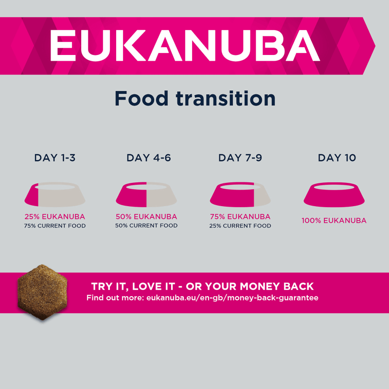 Eukanuba cocker spaniel food clearance