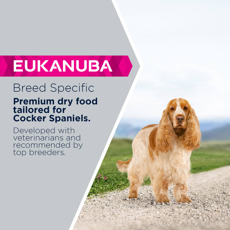 Eukanuba Breed Specific Adult Cocker Pet Supermarket