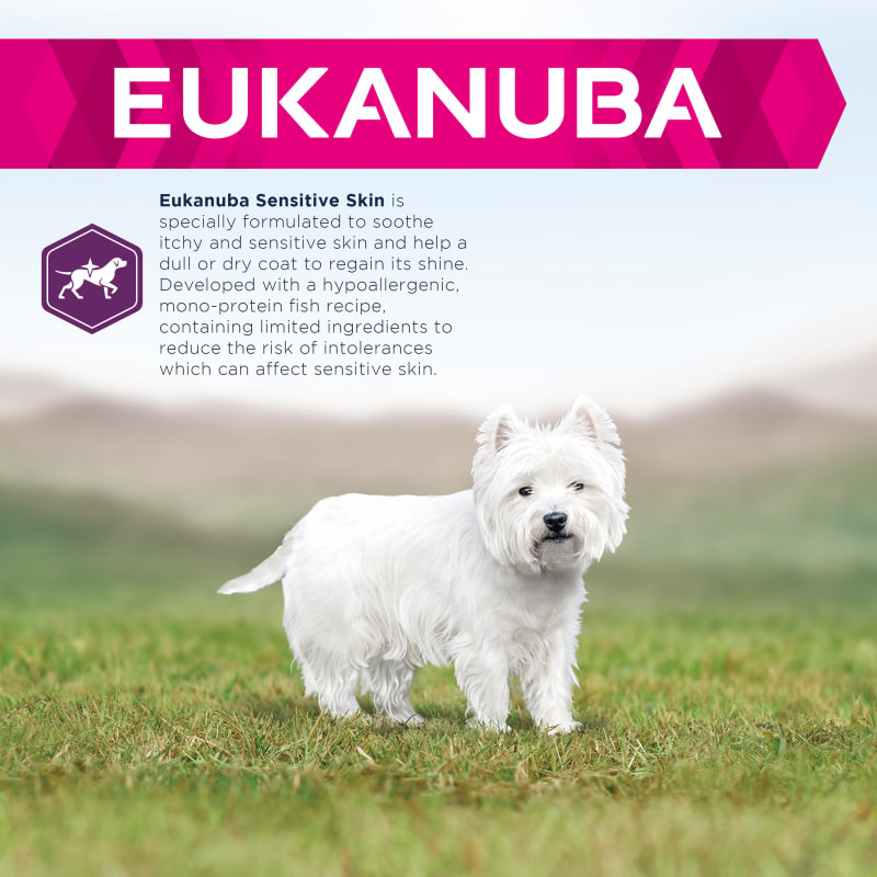 Eukanuba skin care store