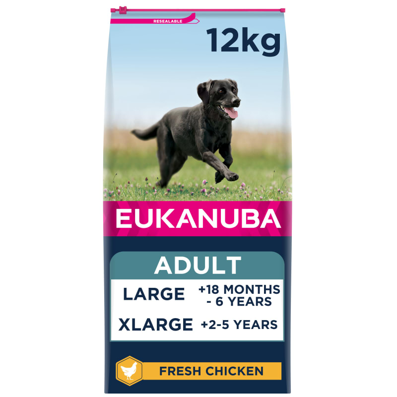 Eukanuba french bulldog top