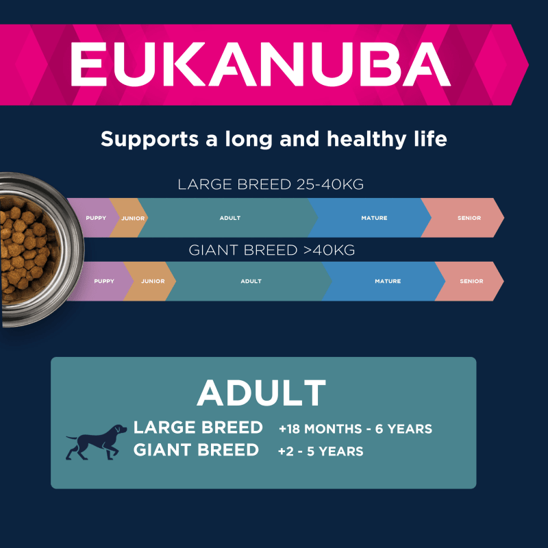 Chewy eukanuba large breed shop