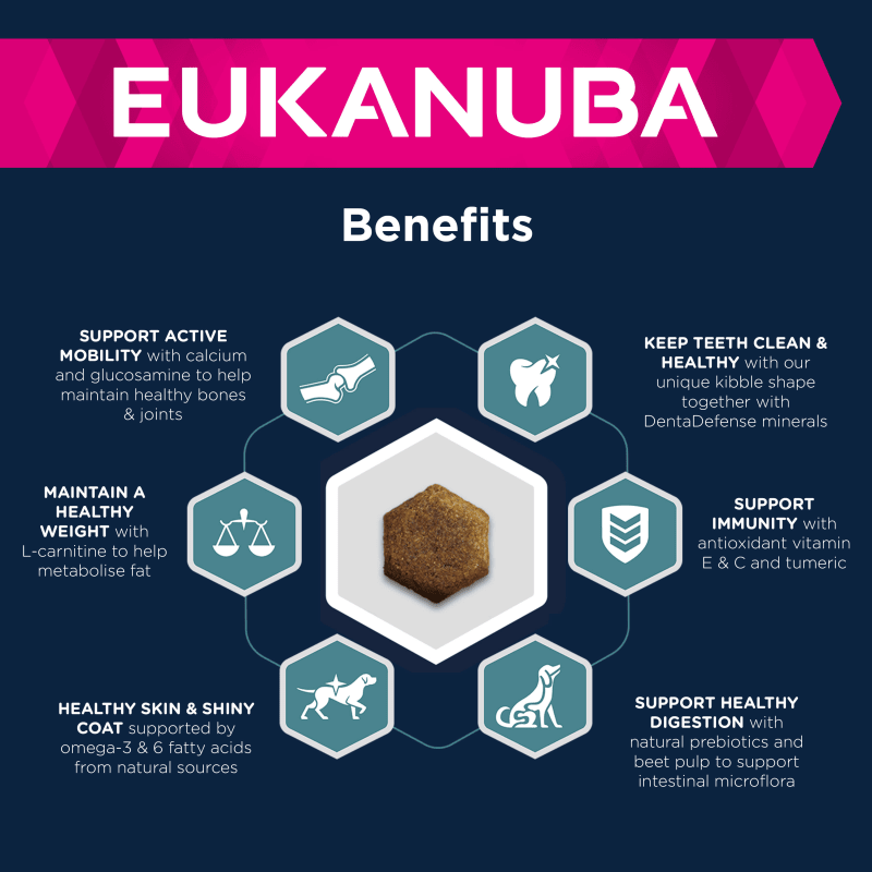 Eukanuba large breed lamb and rice best sale