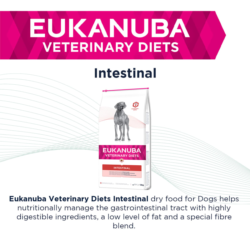 Eukanuba dalmatian hot sale