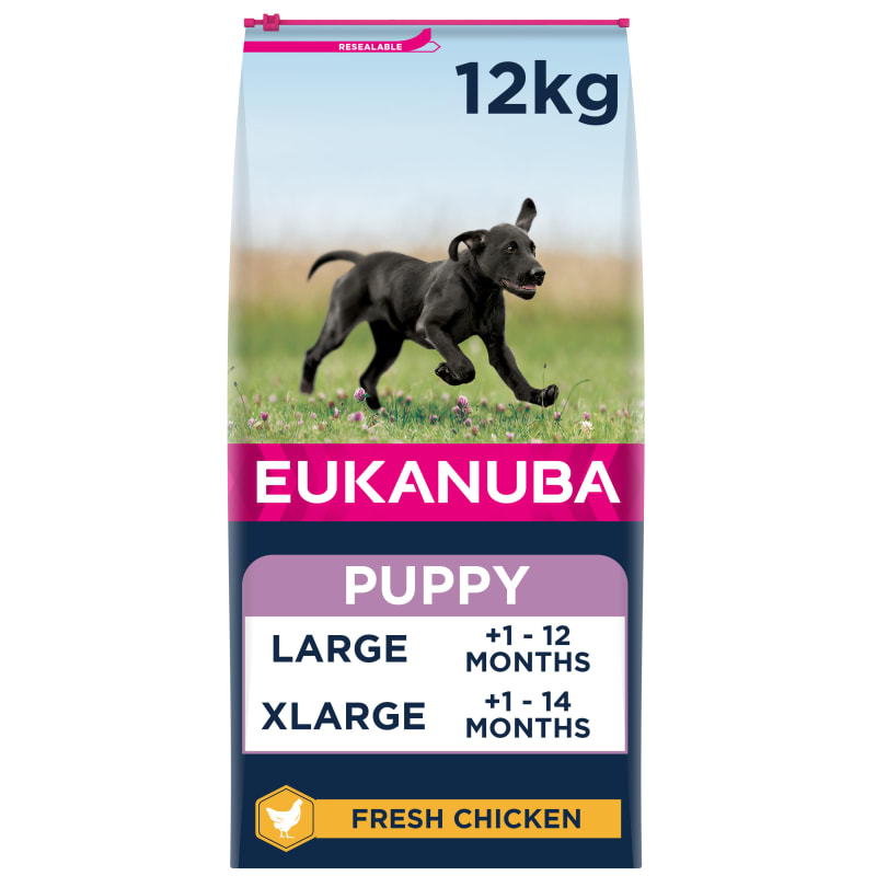 Eukanuba developing junior large breed outlet