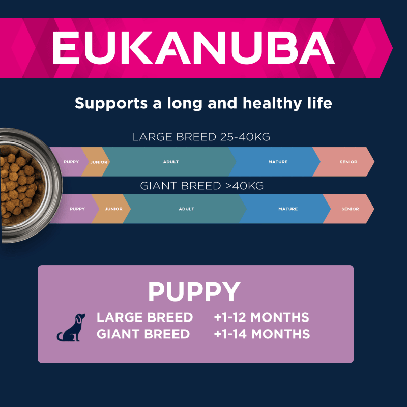 Eukanuba large breed puppy feeding guide top