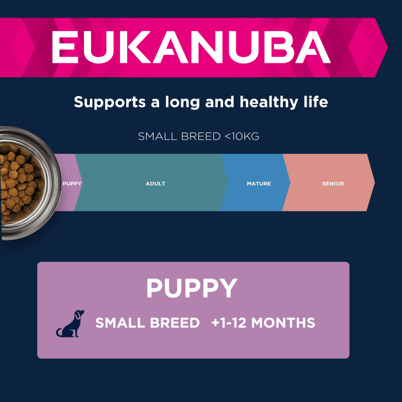 Eukanuba Puppy Small Breed Dry Dog Pet Supermarket