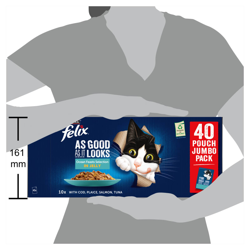 Felix As Good As It Looks Wet Cat Pet Supermarket