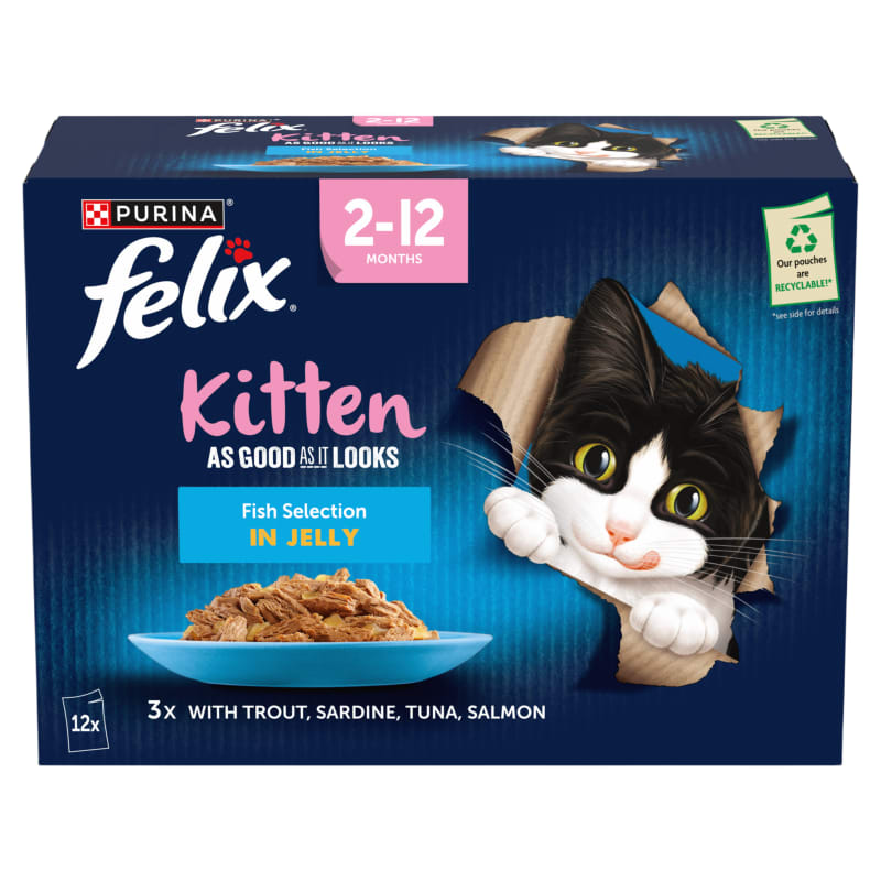 Felix As Good As It Looks Kitten Wet Pet Supermarket