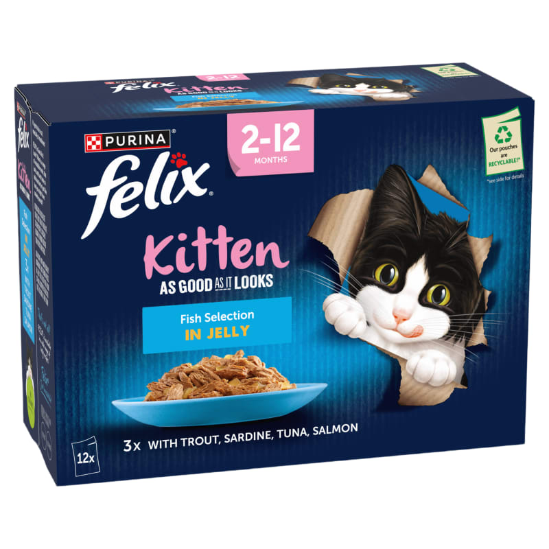 Felix As Good As It Looks Kitten Wet Pet Supermarket
