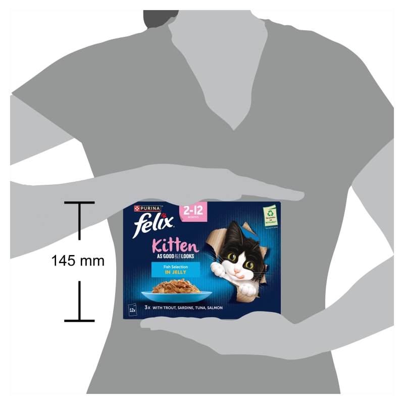 Felix food cat hotsell