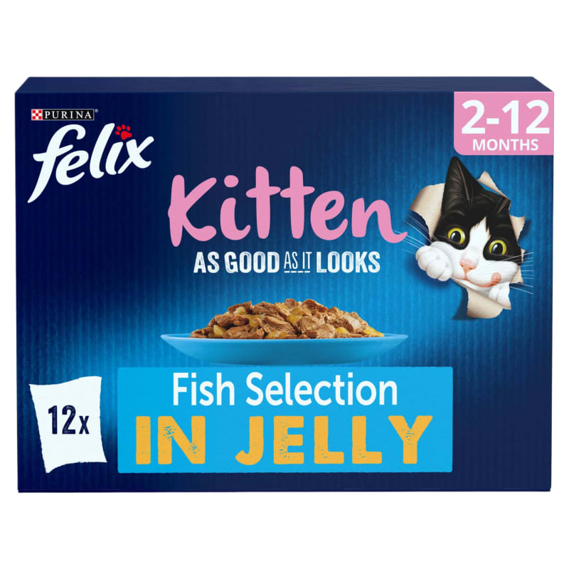 Felix As Good As It Looks Kitten Wet Pet Supermarket
