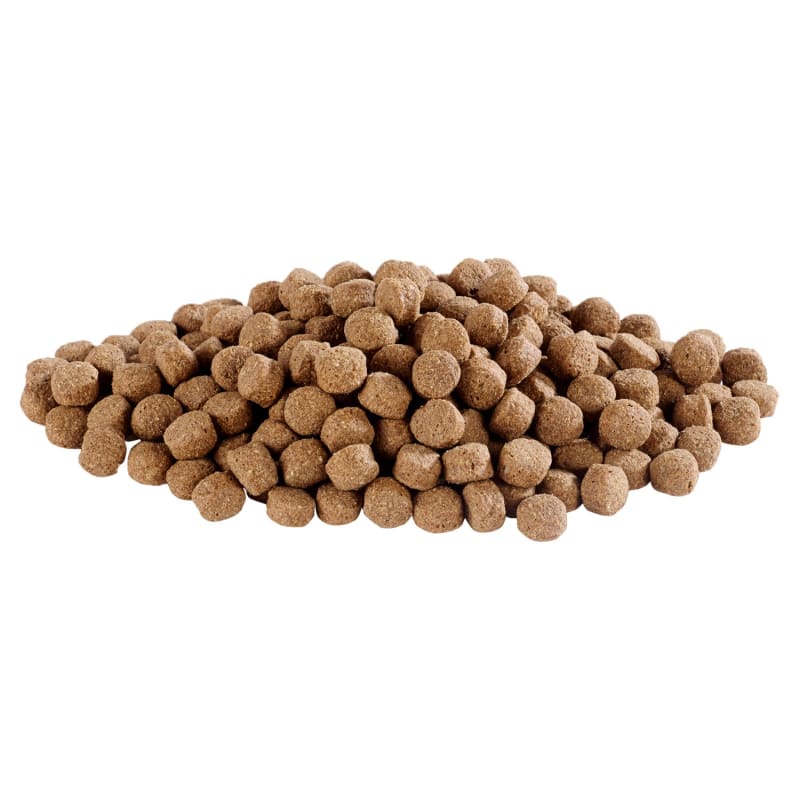 Harringtons complete dry dog food sales