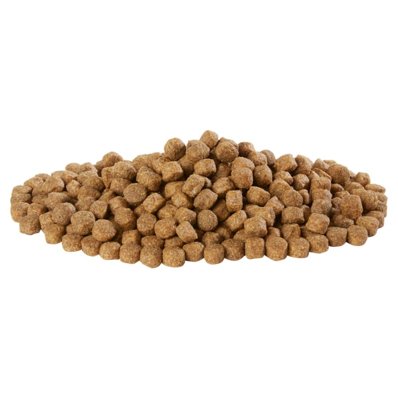 Harringtons Adult Dry Dog Food Pet Supermarket