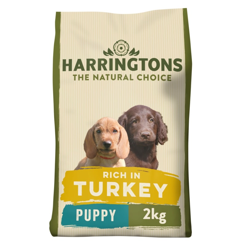 Dog food healthy choice sale