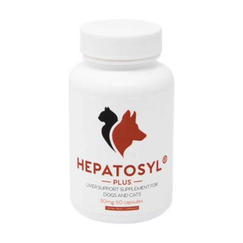 Liver supplement for top dogs