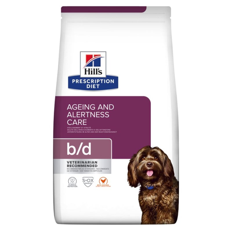 Brain food for senior dogs top