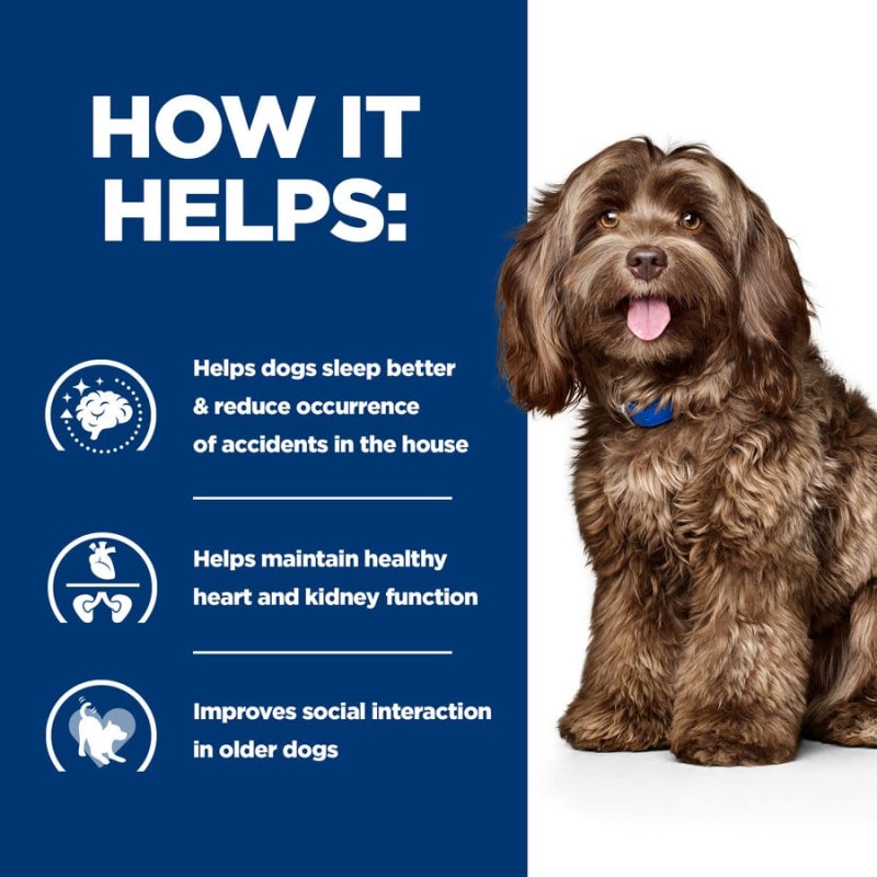 Hills brain aging dog food hot sale