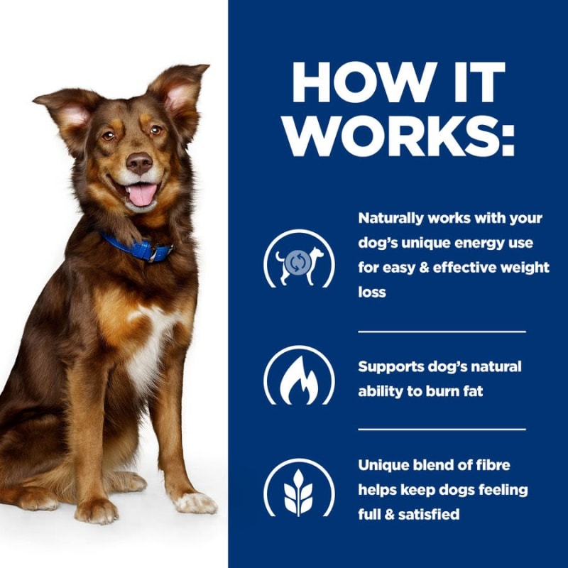 Hill's prescription weight loss dog food sale