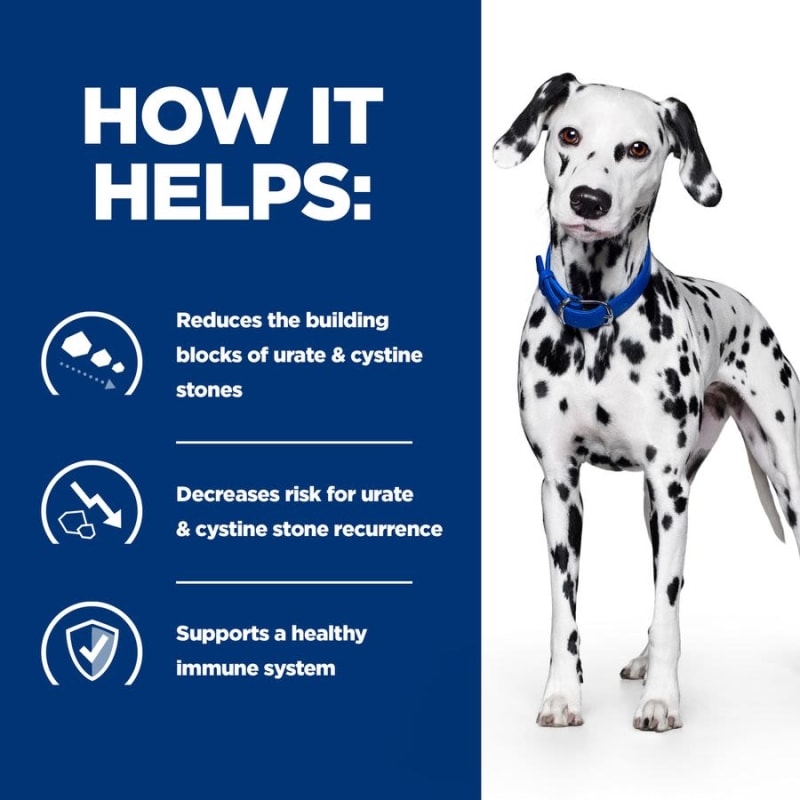 Dog food sales for cystine stones