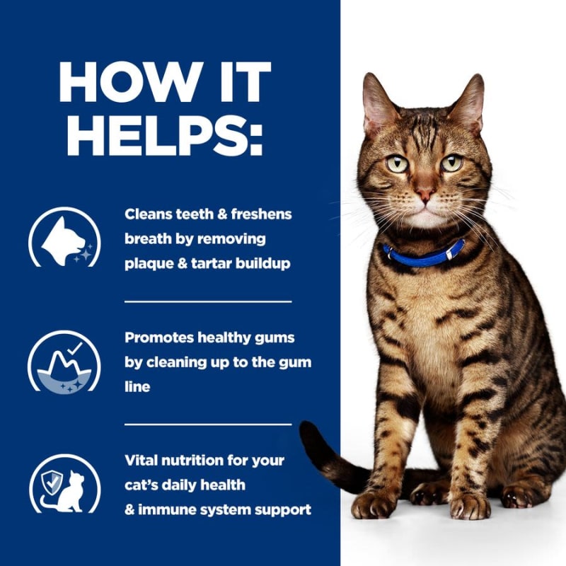 Dental cat food shop