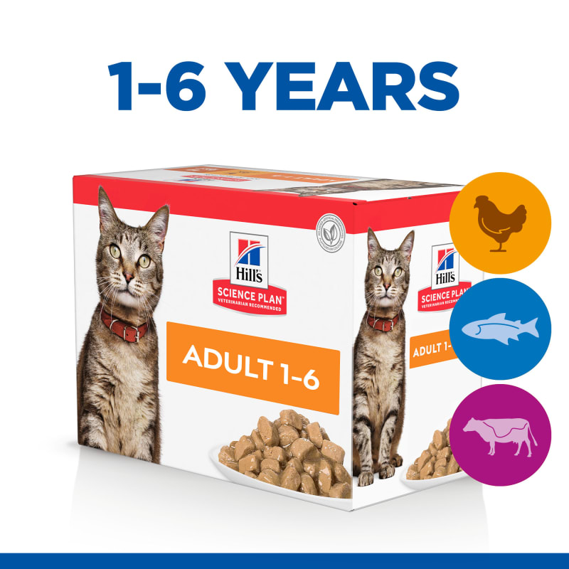 Fish only outlet cat food