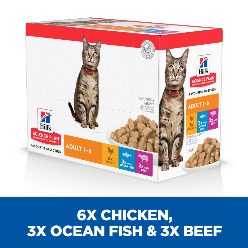 Science plan wet cat food cheap