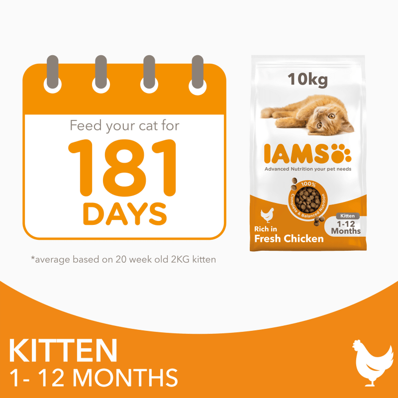 Iams kitten 10kg shop