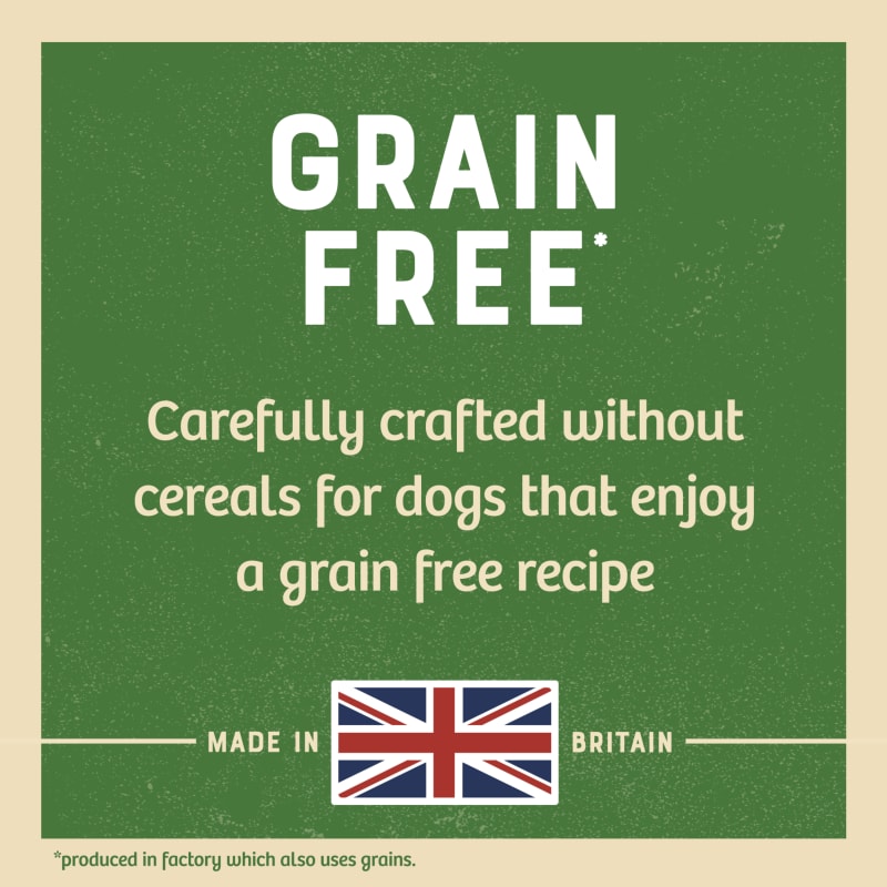 James wellbeloved grain deals free lamb and vegetable