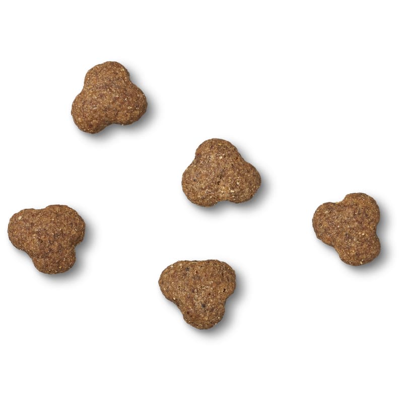 Wellbeloved senior outlet dog food